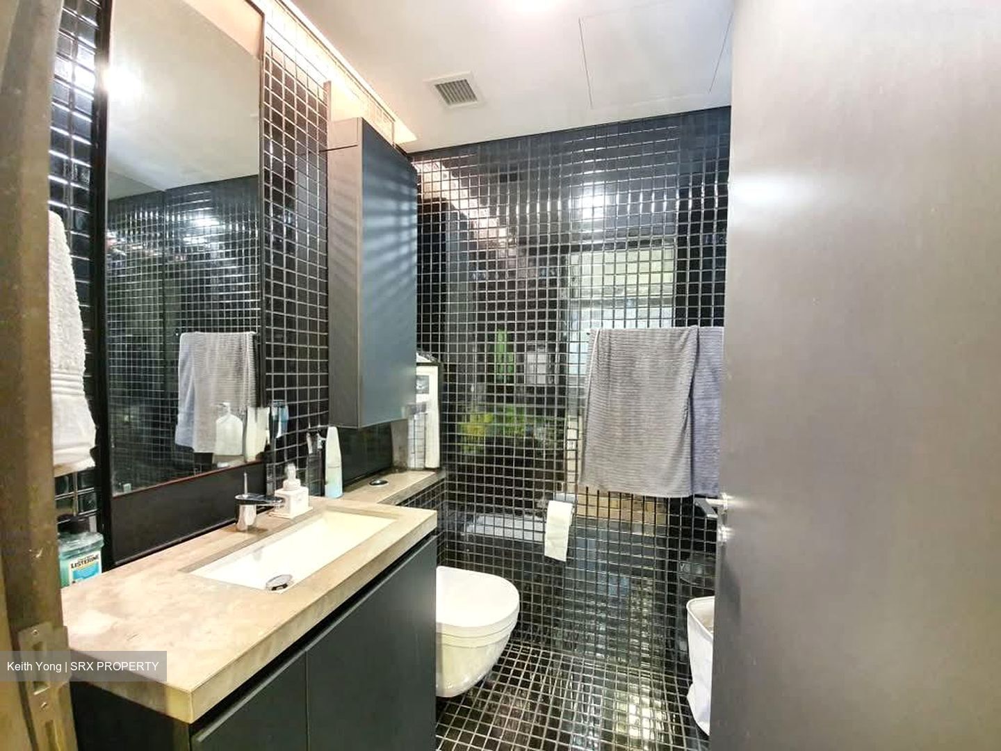 Skysuites@Anson (D2), Apartment #590194401
